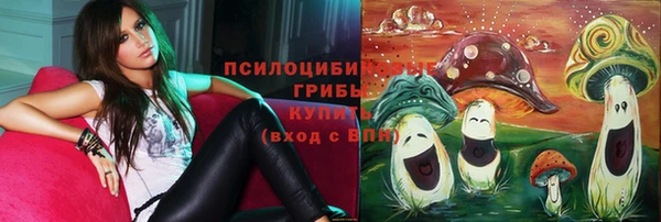 молекула духа Баксан