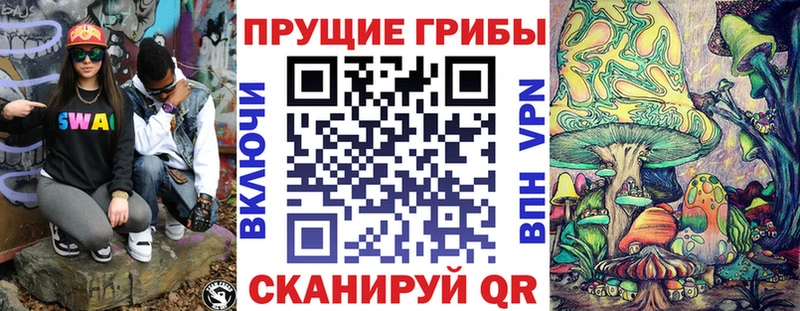 Купить закладки  Бежецк  Псилоцибиновые грибы MAGIC MUSHROOMS 